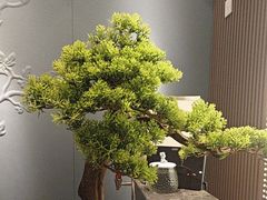 -华夏良子·足道SPA艾灸(铁道大厦店)