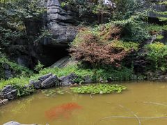 -梭布垭石林景区