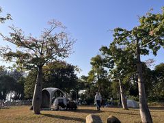 -宝安西湾红树林湿地公园