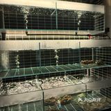 魔都终于有一家像样的泰国餐厅了…