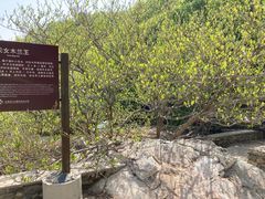 -大连天门山国家森林公园