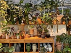 -自由生长植物工作室(深港花卉中心店)
