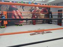 -津武堂散打搏击俱乐部(河西店)