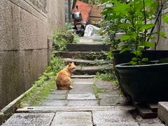 -黄埔古港