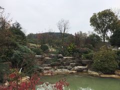 -铁山坪森林公园