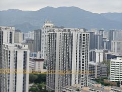-金鸡山公园