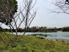 -尚贤河湿地