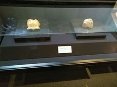 -北京周口店北京人遗址博物馆