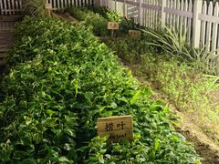 -三亚太阳湾柏悦酒店