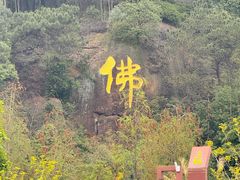 -三水森林公园