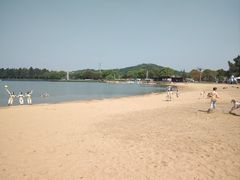 -上海月湖雕塑公园