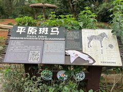 -海南热带野生动植物园