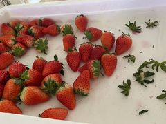 -西郊国际农产品交易中心