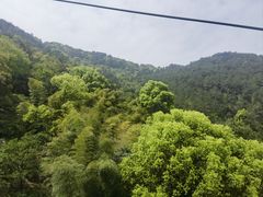 -缙云山景区