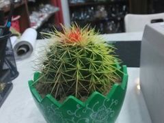 android_upload_pic-翰皇直营洗衣洗鞋(望京鹿港店)