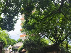 -鹅岭公园瞰胜楼