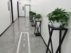 -痘博士昆明·国际祛痘领跑品牌