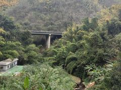 -西双版纳原始森林公园