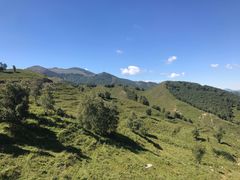 -灵山