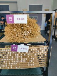 点击看大图 -太湖雪蚕桑文化园