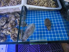 -阿军排档·烧烤