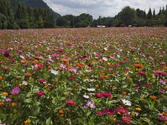 -贵阳市花溪国家城市湿地公园