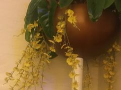 -东方之珠洗浴休闲广场(和平店)