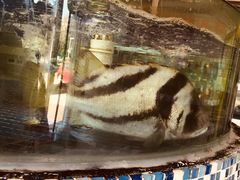 -天津包子铺·海鲜家常菜(北戴河店)