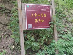 -北京上方山国家森林公园