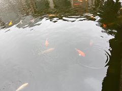 -番禺宾馆丽苑厅