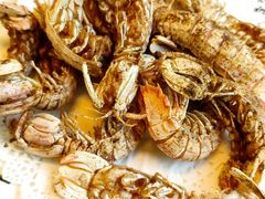 -宾朋海鲜特色美食餐厅·纯手工鲅鱼水饺(兴海路店)