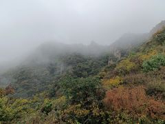 -大岭沟猕猴桃谷风景区