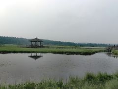 -塞罕坝国家级自然保护区