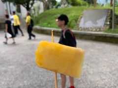 -金盆阿嬷香菇茶叶蛋(玄光店)