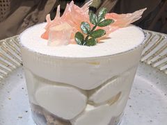 -猫里有甜