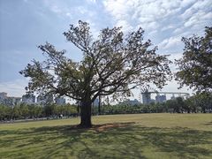 -白沙门生态公园