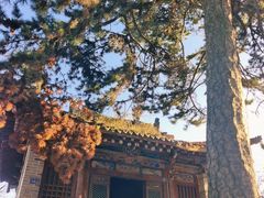 -崆峒山景区
