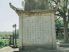 -鲁镇