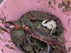 -海州湾会议中心中餐厅