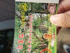 -瑞丽独树成林风景区