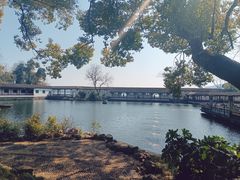 -无锡蠡湖国家湿地公园-蠡园