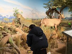 -陕西自然博物馆