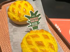 -羽鸽集·乳鸽专门店·地道顺德菜(岭南站店)