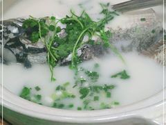 -天乐农家鱼头王(天目湖店)