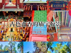-关林