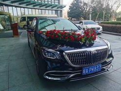 -蚂蚁婚车