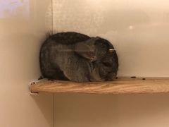 -龙猫仔乐园(惠福东路店)