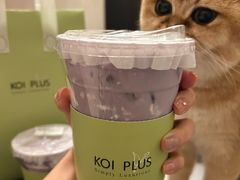 -KOI PLUS(成都万象城店)
