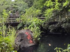 -海口火山口国家地质公园