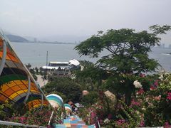 -芽庄珍珠岛游乐园